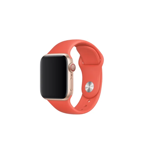 Apple Watch Series 6